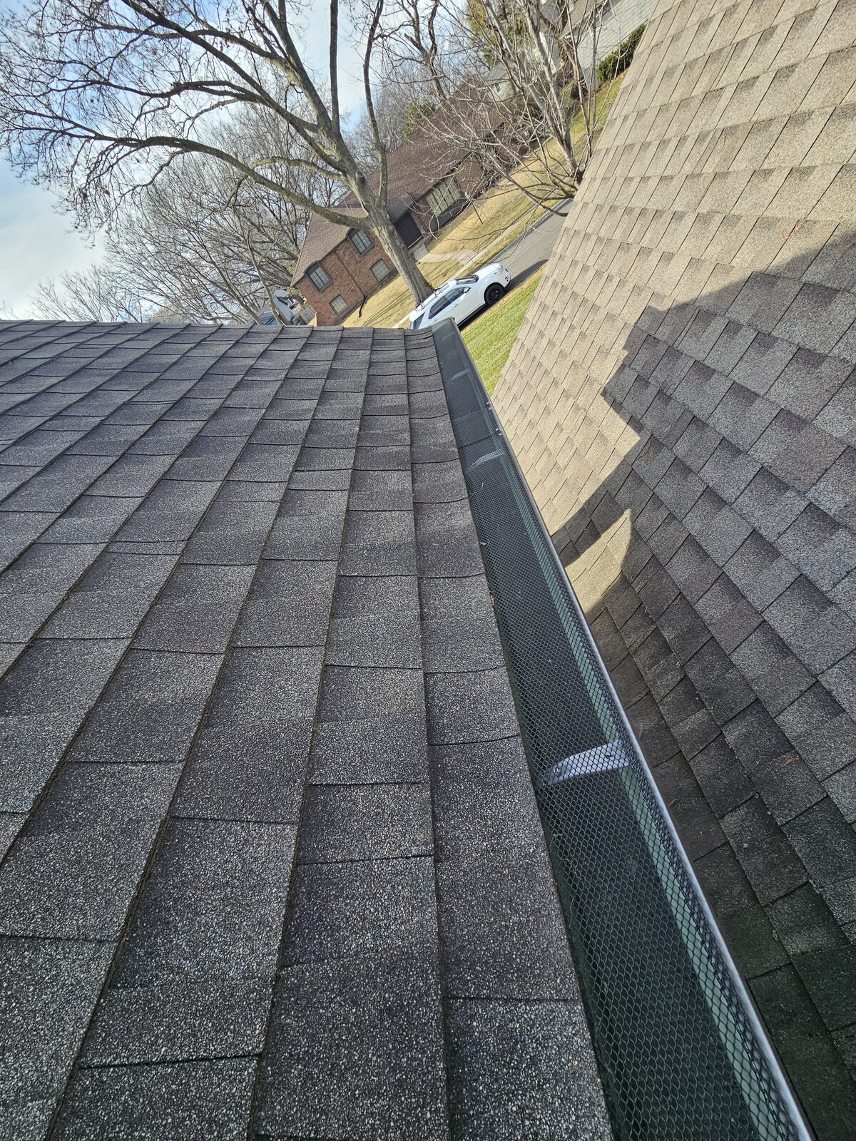 Cleared screened gutter section with nearby trees overhead