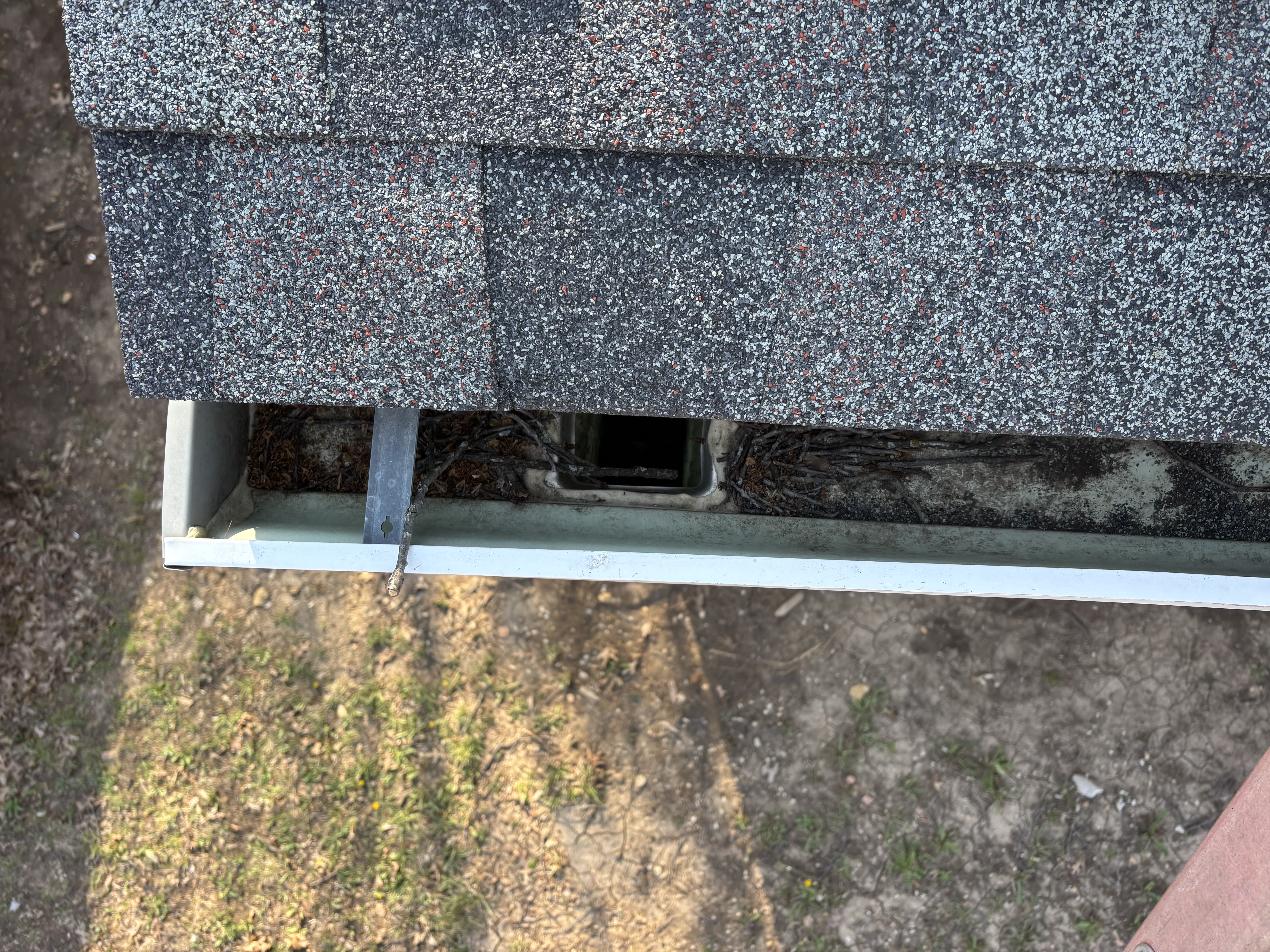 Debris and organic material near a downspout opening before service