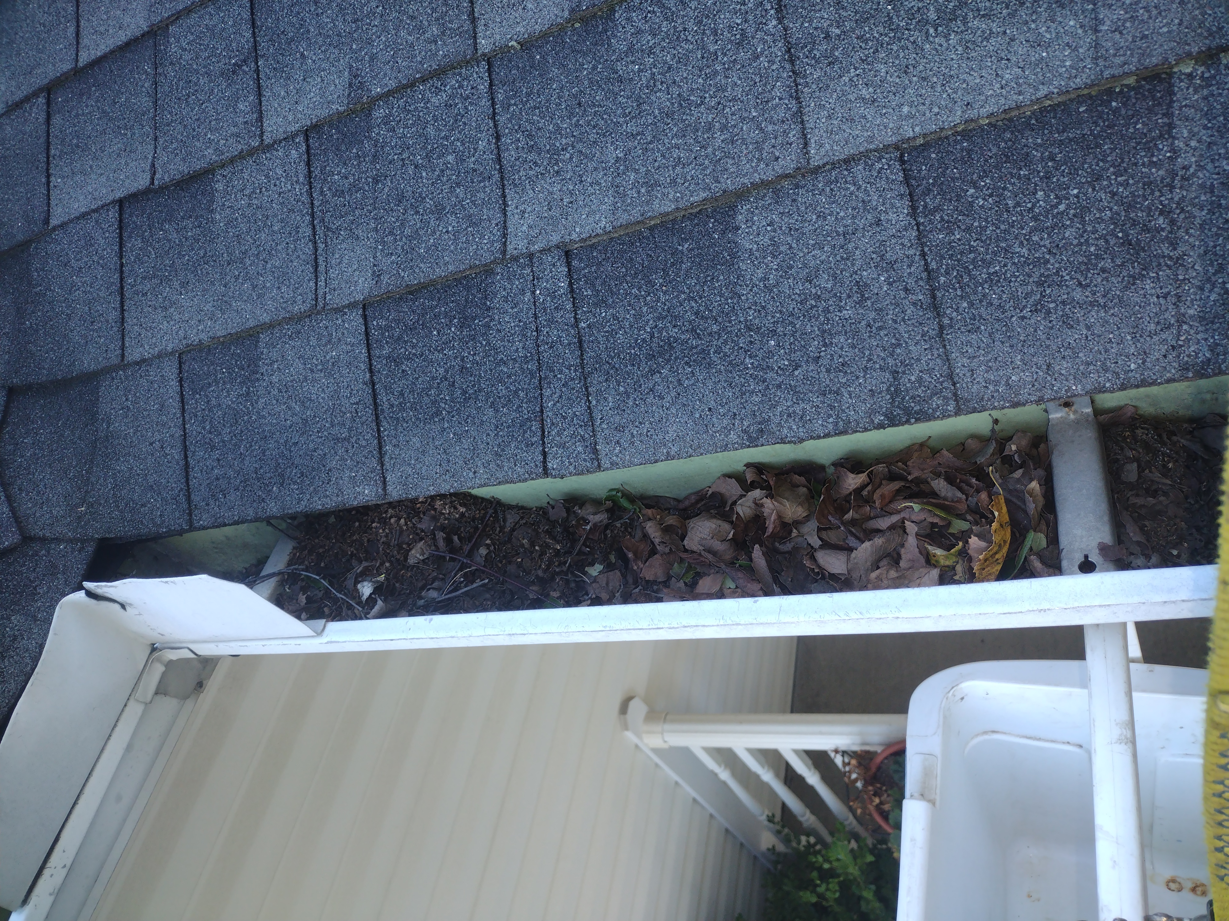Leaves and small twigs visible in the gutter before service