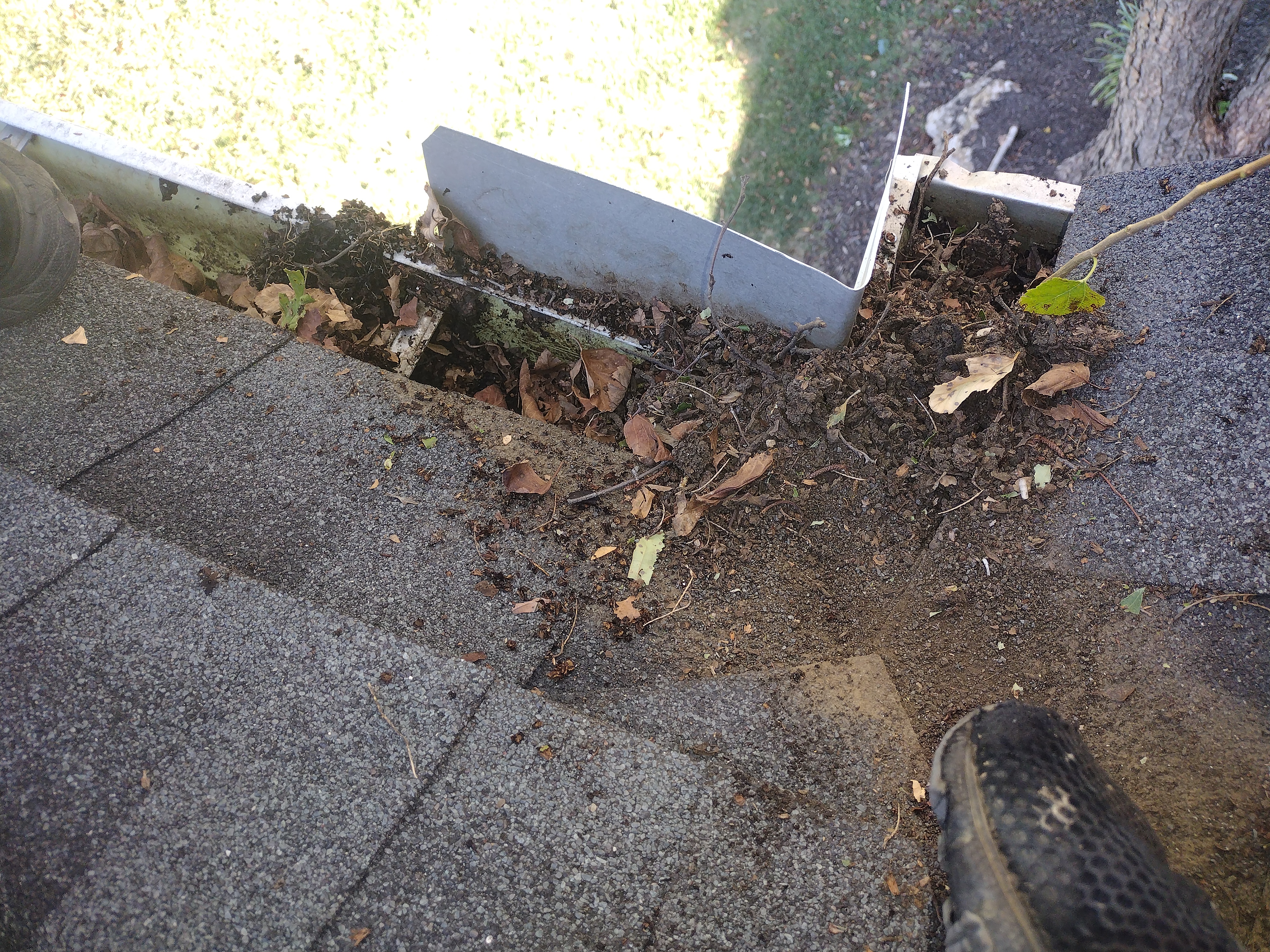 Debris collected near a gutter corner before cleaning