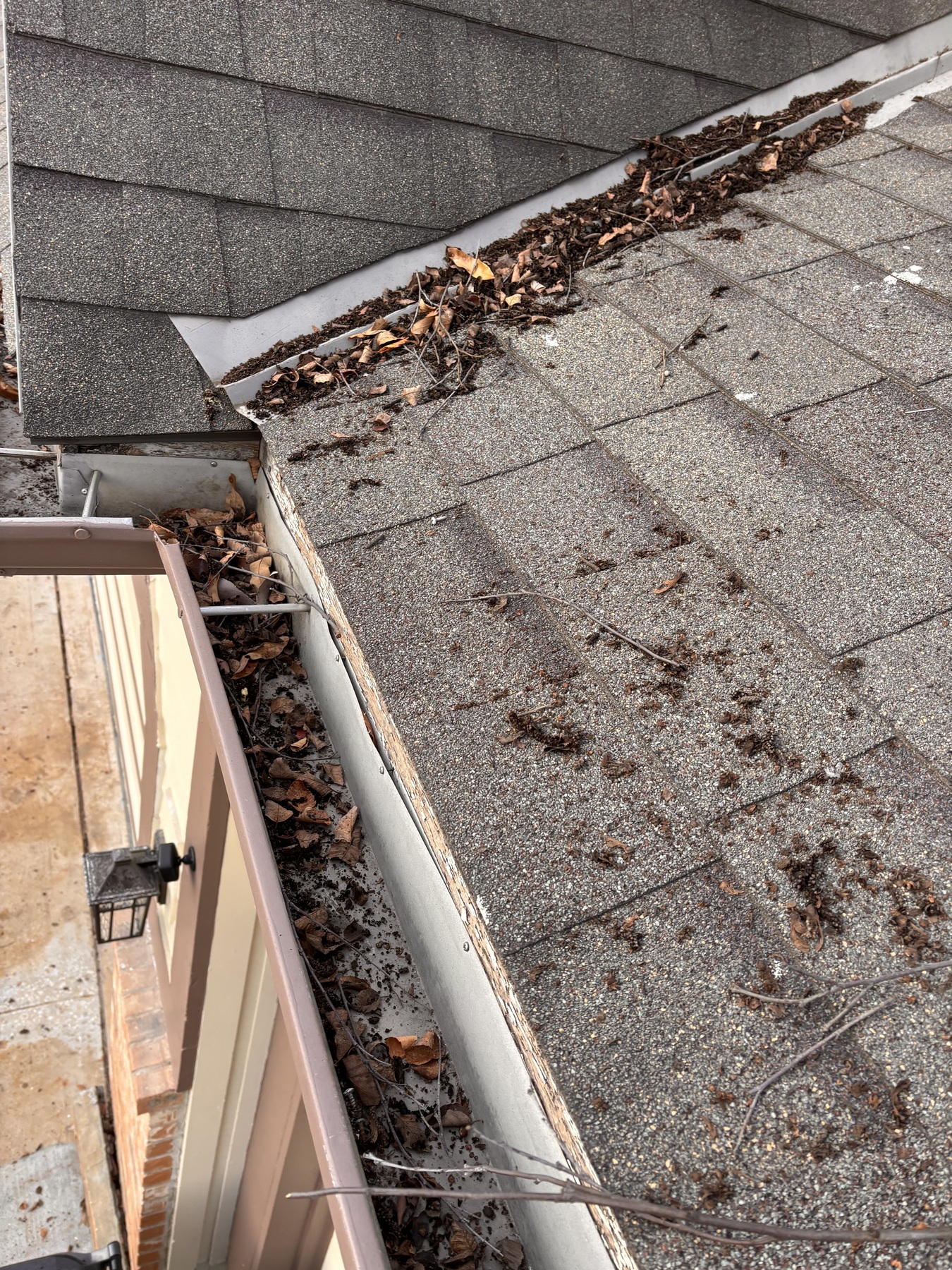 Leaves and organic debris packed along an Olathe roof-edge gutter before cleaning