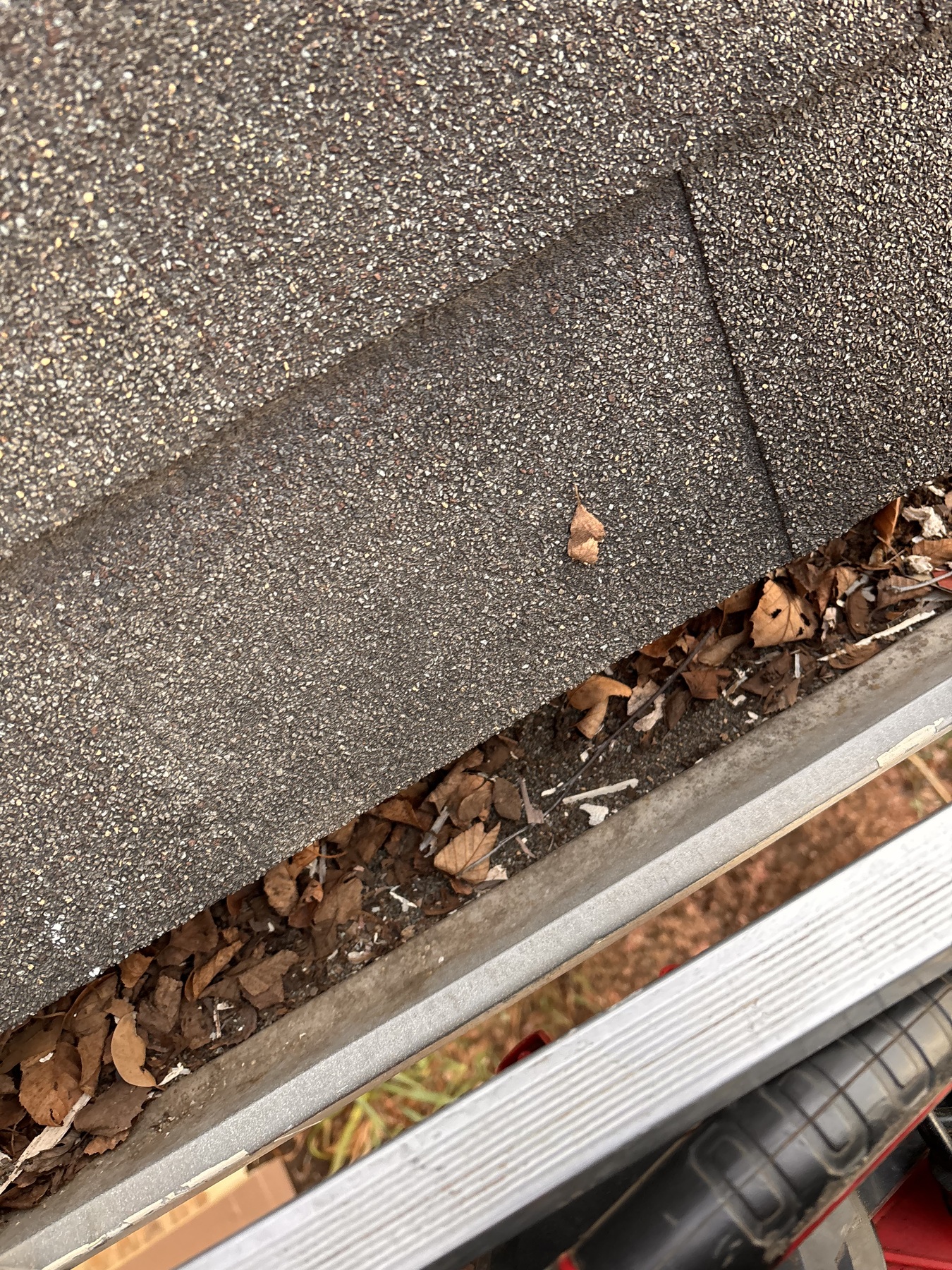 Close view of gutter debris before cleaning on an Olathe home