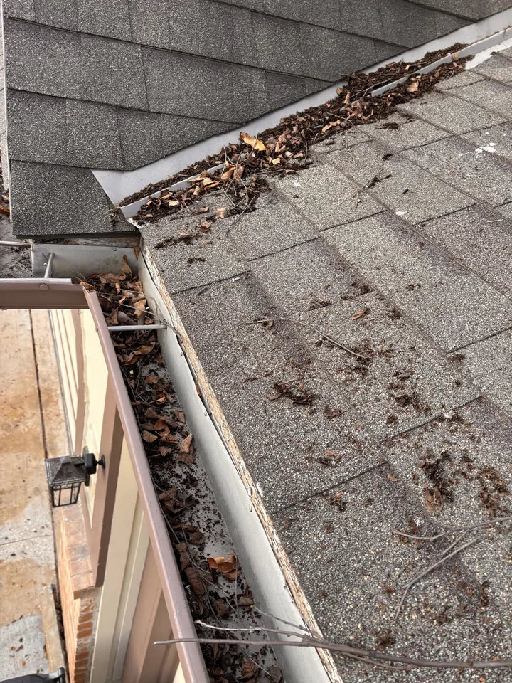 Leaves and organic debris packed along an Olathe roof-edge gutter before cleaning
