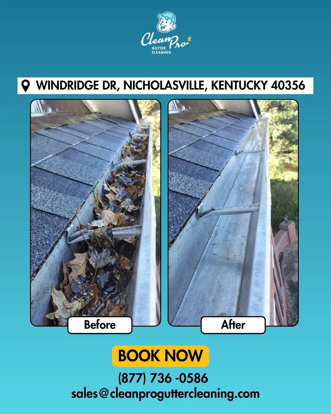 Gutter cleaning results on Windridge Dr in Nicholasville, KY