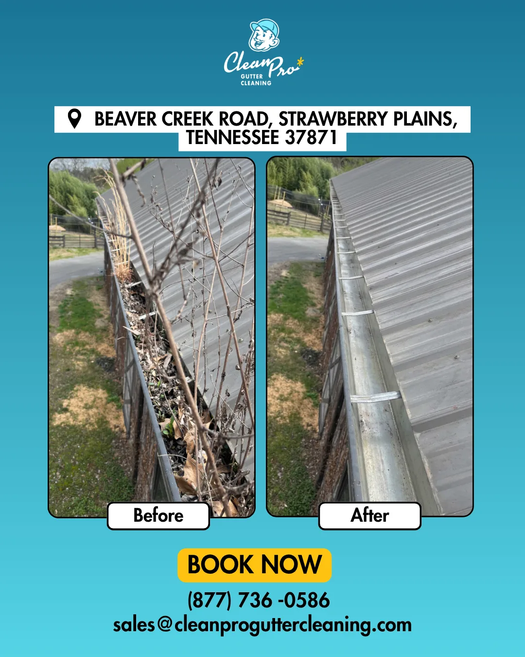 Before and after gutter cleaning on Beaver Creek Road, Strawberry Plains, TN